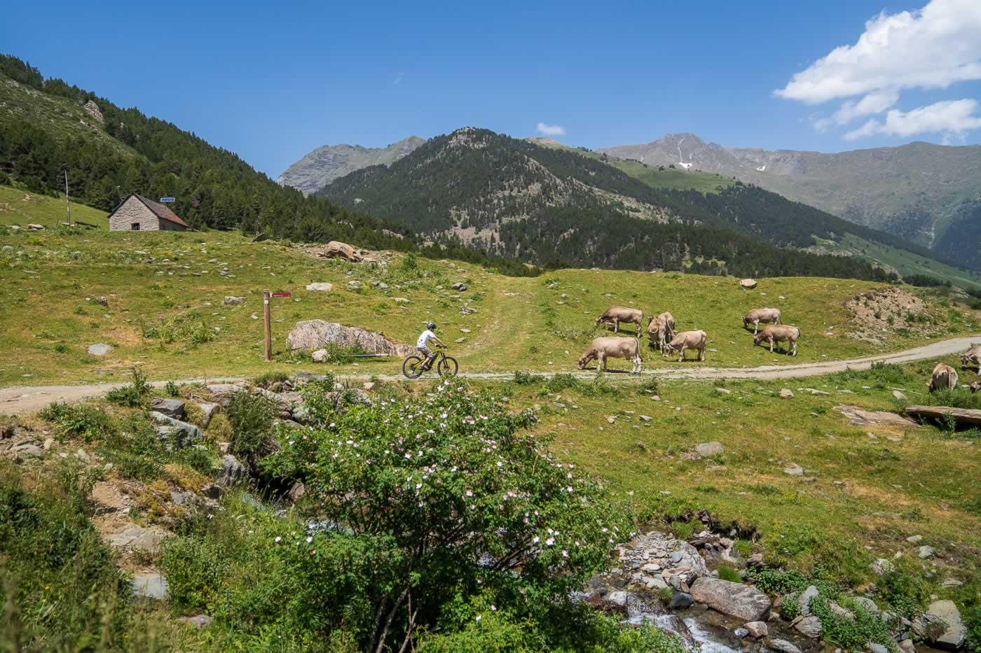 bici-electrica-montgarri-valledearan-ebike-01